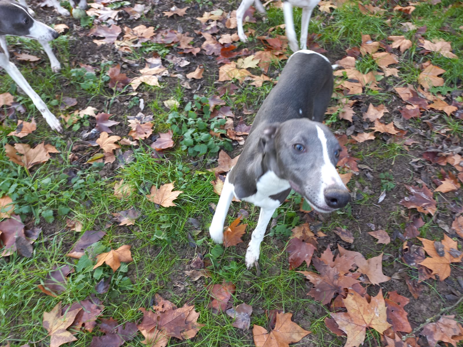 Image 2022-12-21 at 09.57.14 (1)