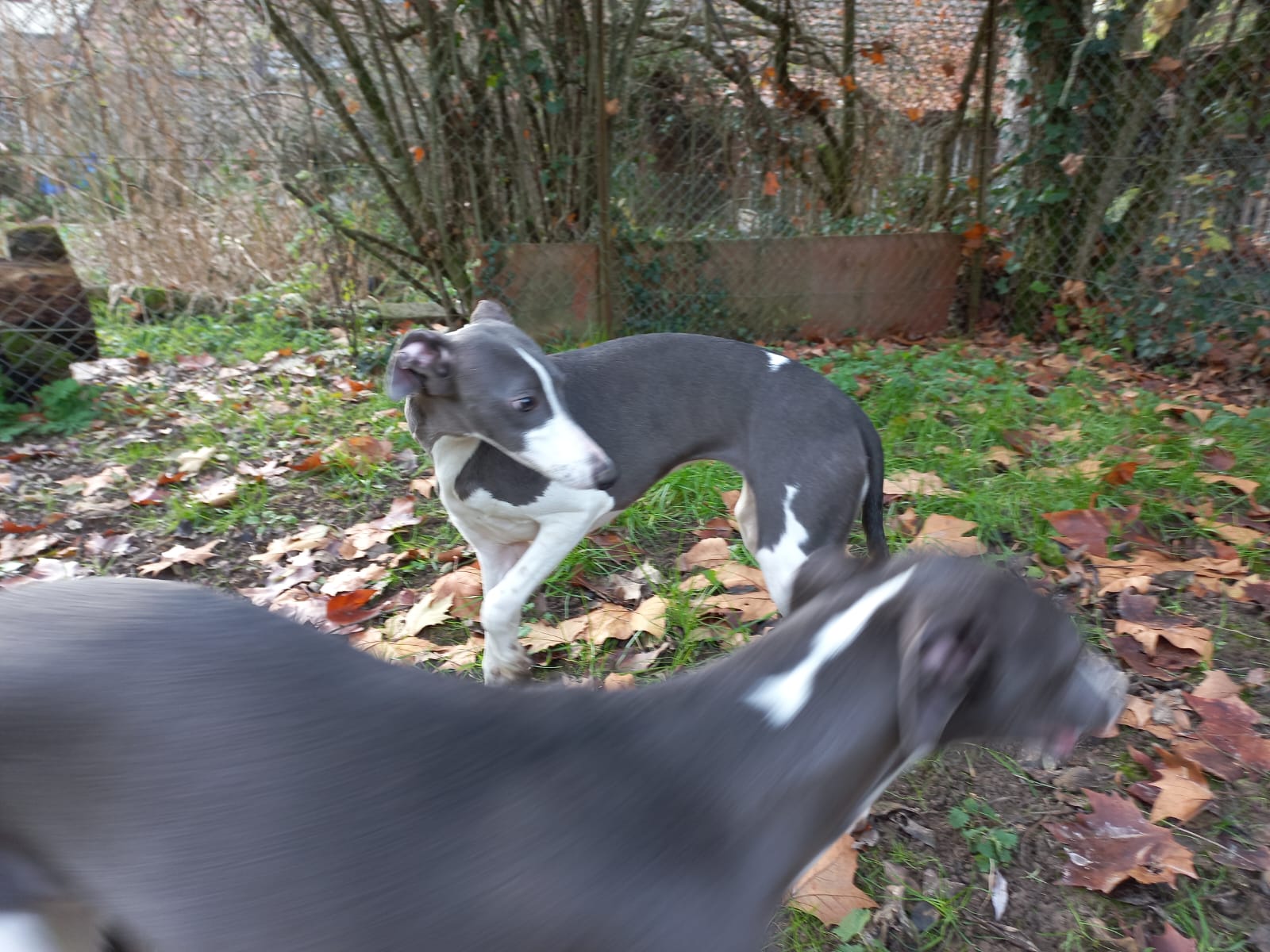 Image 2022-12-21 at 09.57.14 (2)