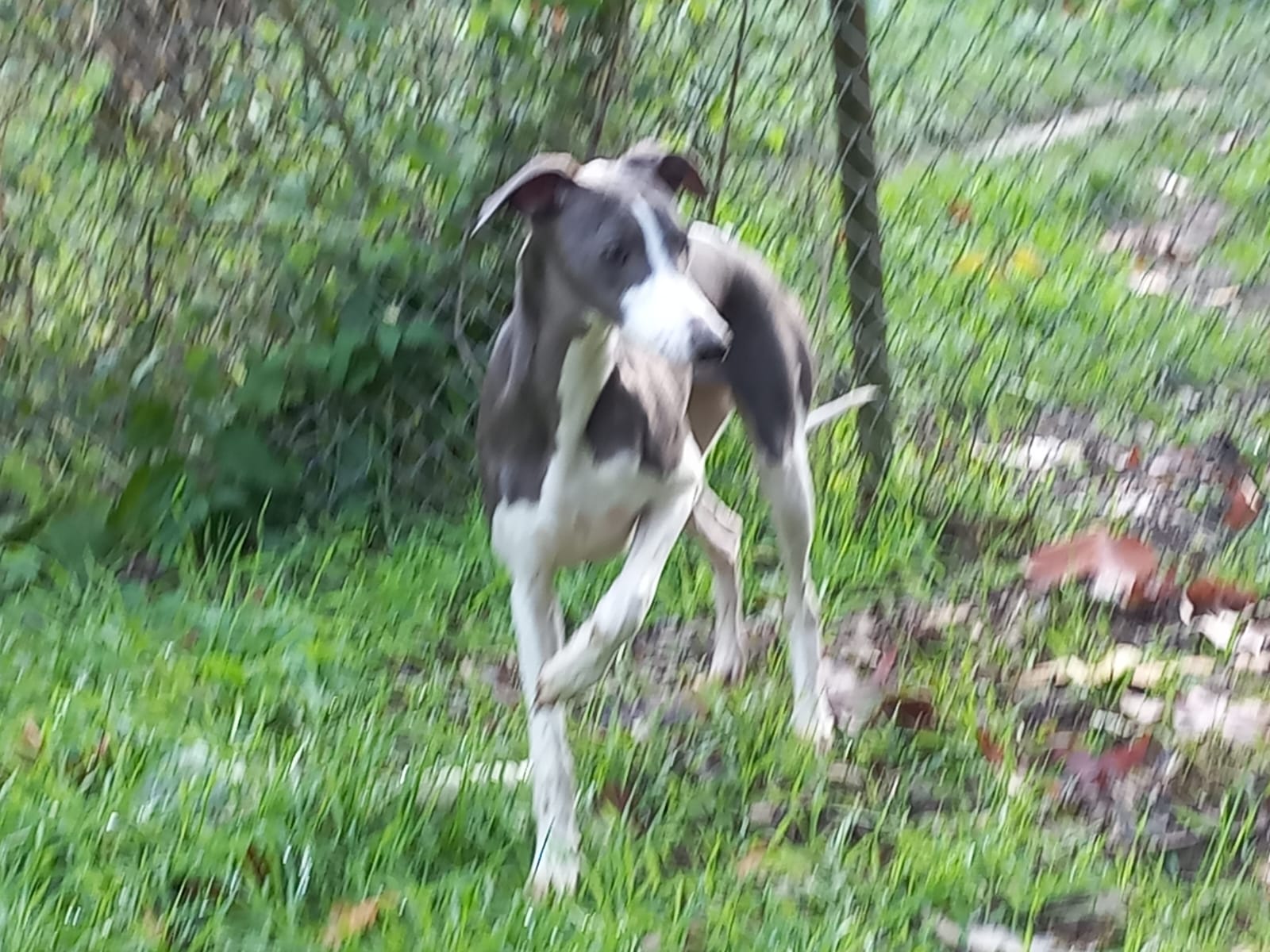 Image 2022-12-21 at 09.57.14 (3)