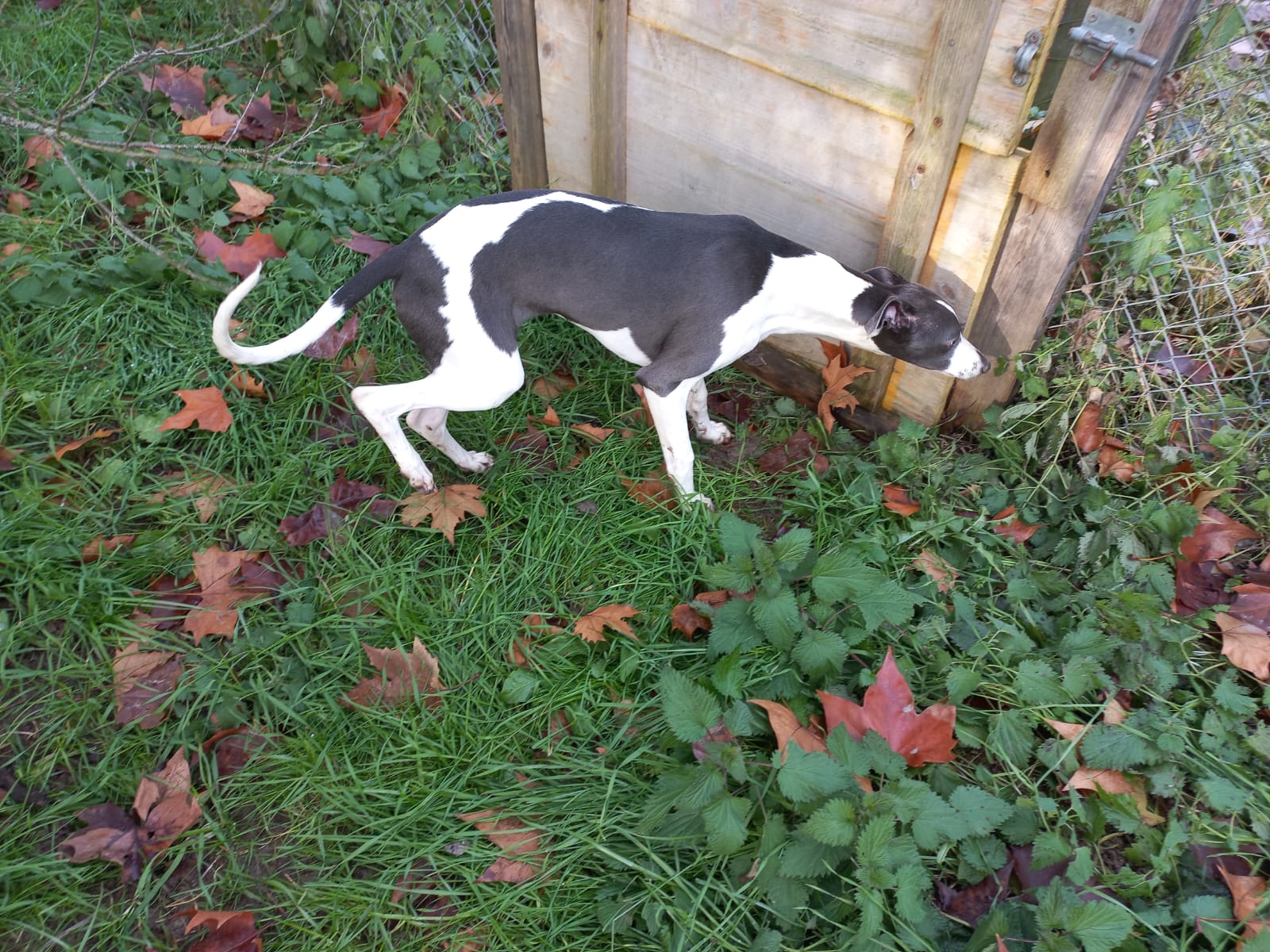 Image 2022-12-21 at 09.57.14