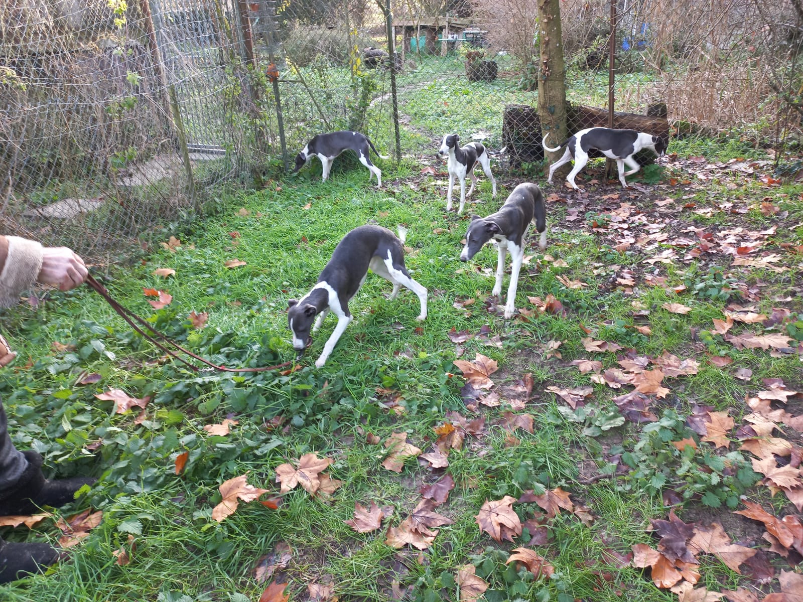 Image 2022-12-21 at 09.57.15 (1)