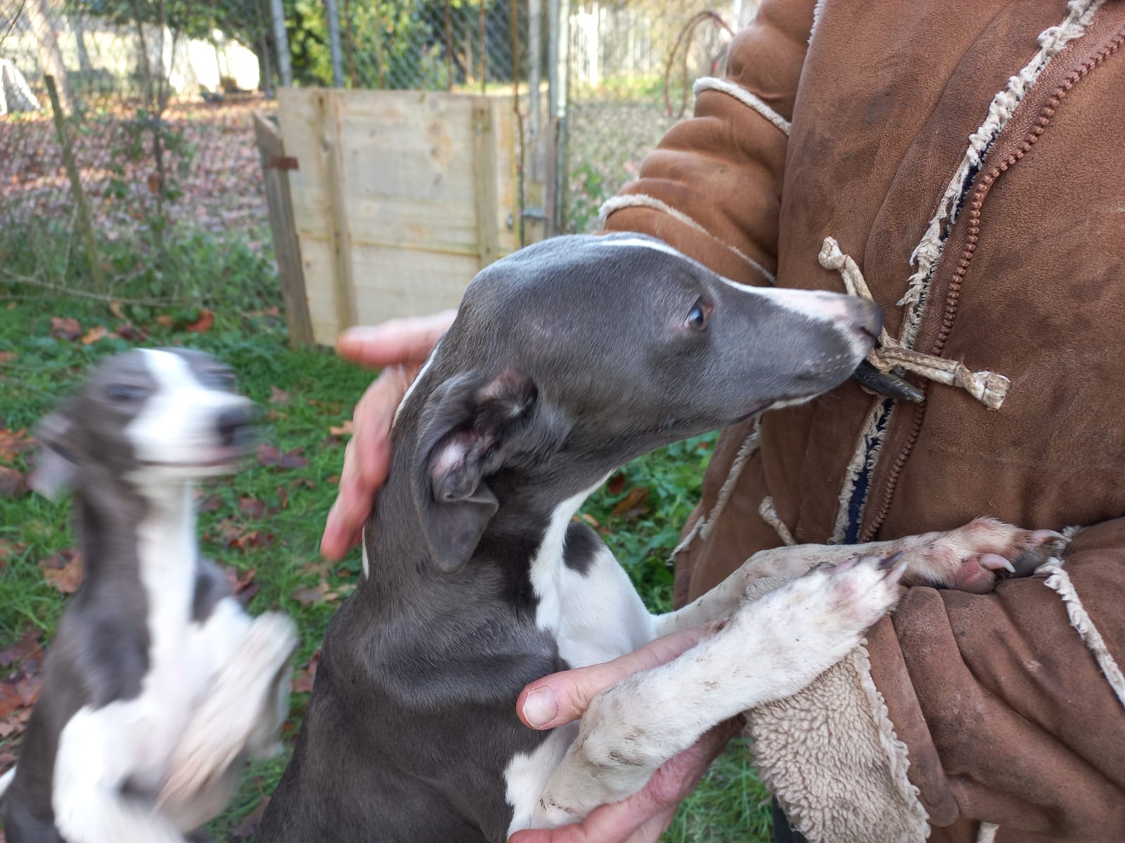 Image 2022-12-21 at 09.57.15 (2)