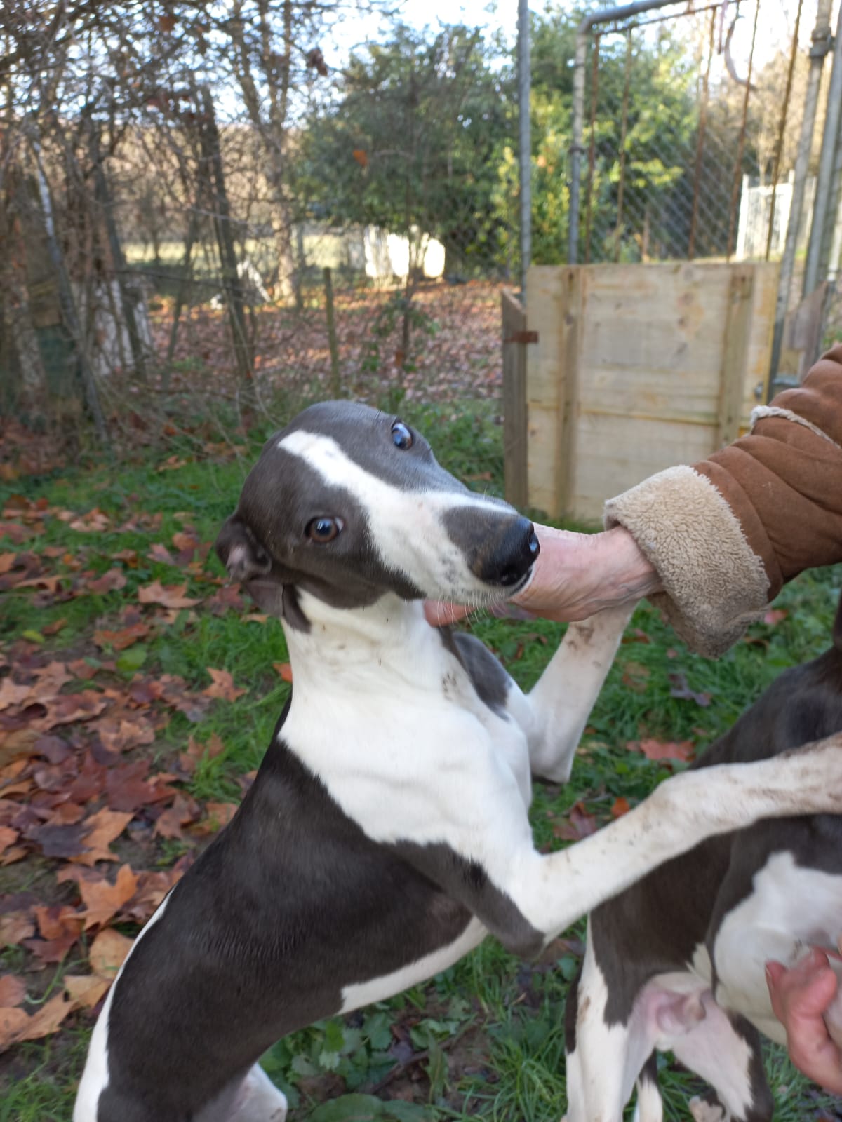 Image 2022-12-21 at 09.57.15 (3)