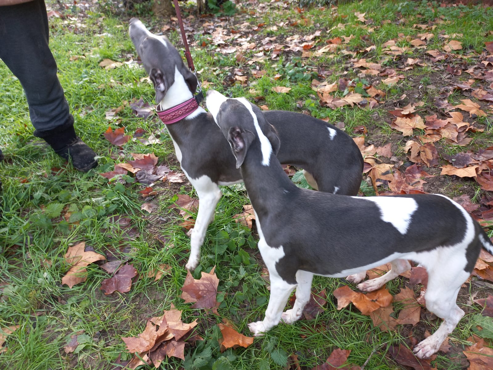 Image 2022-12-21 at 09.57.15