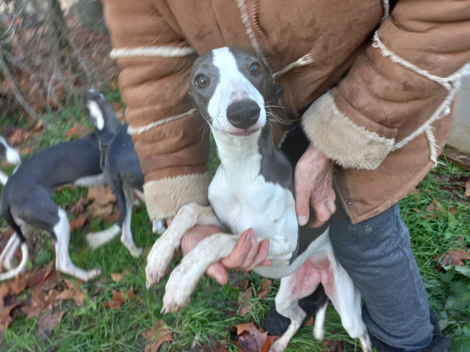 Image 2022-12-21 at 09.57.18 (1)