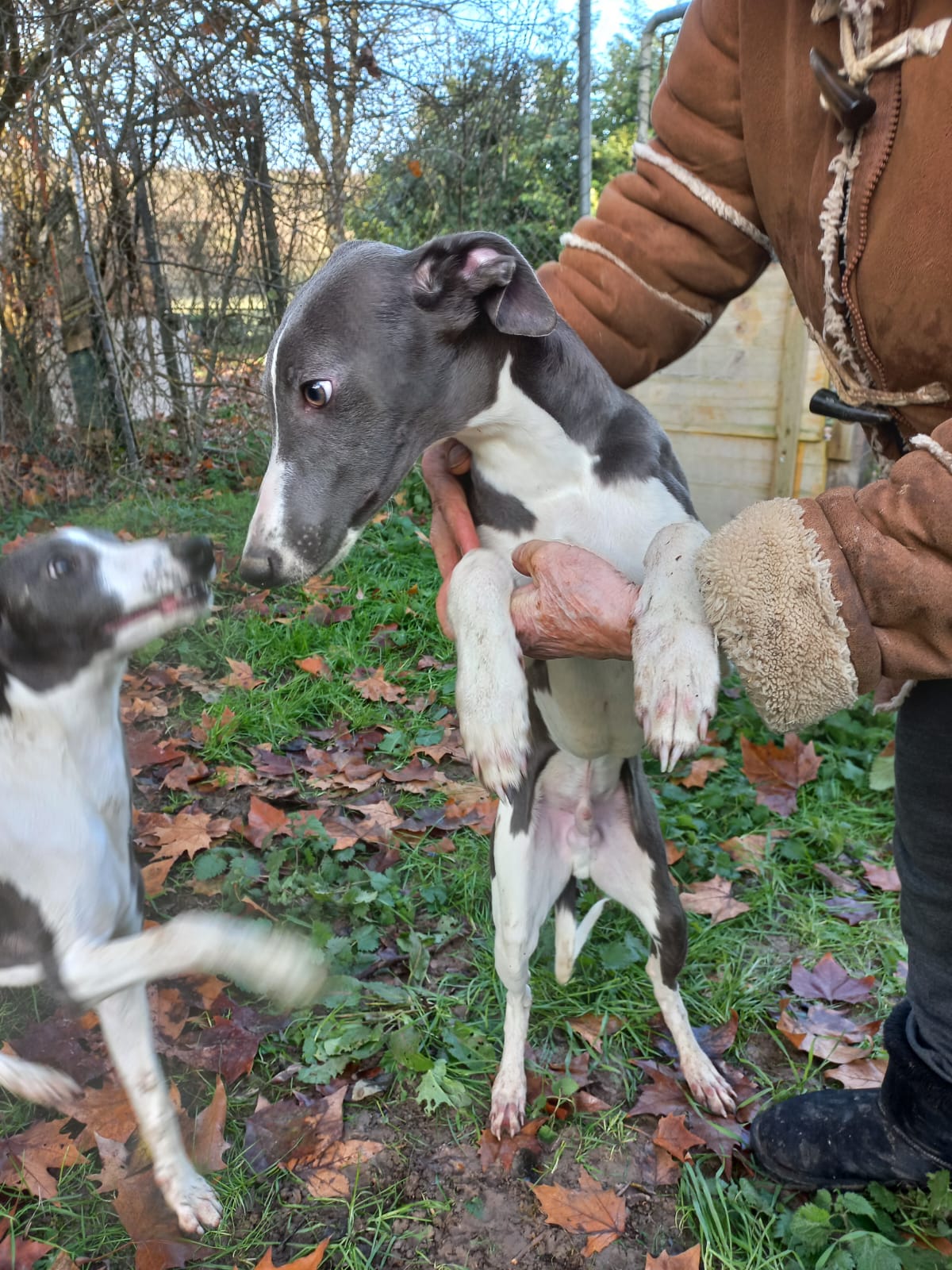 Image 2022-12-21 at 09.57.18 (2)