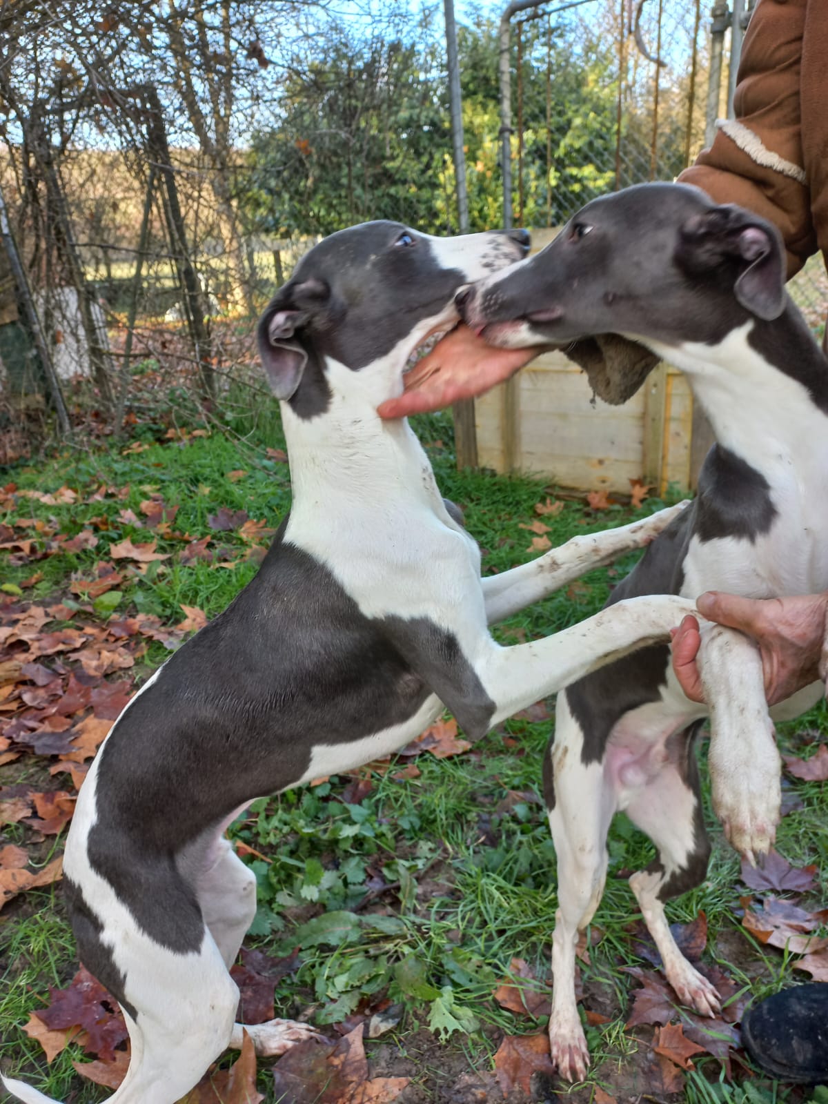 Image 2022-12-21 at 09.57.18