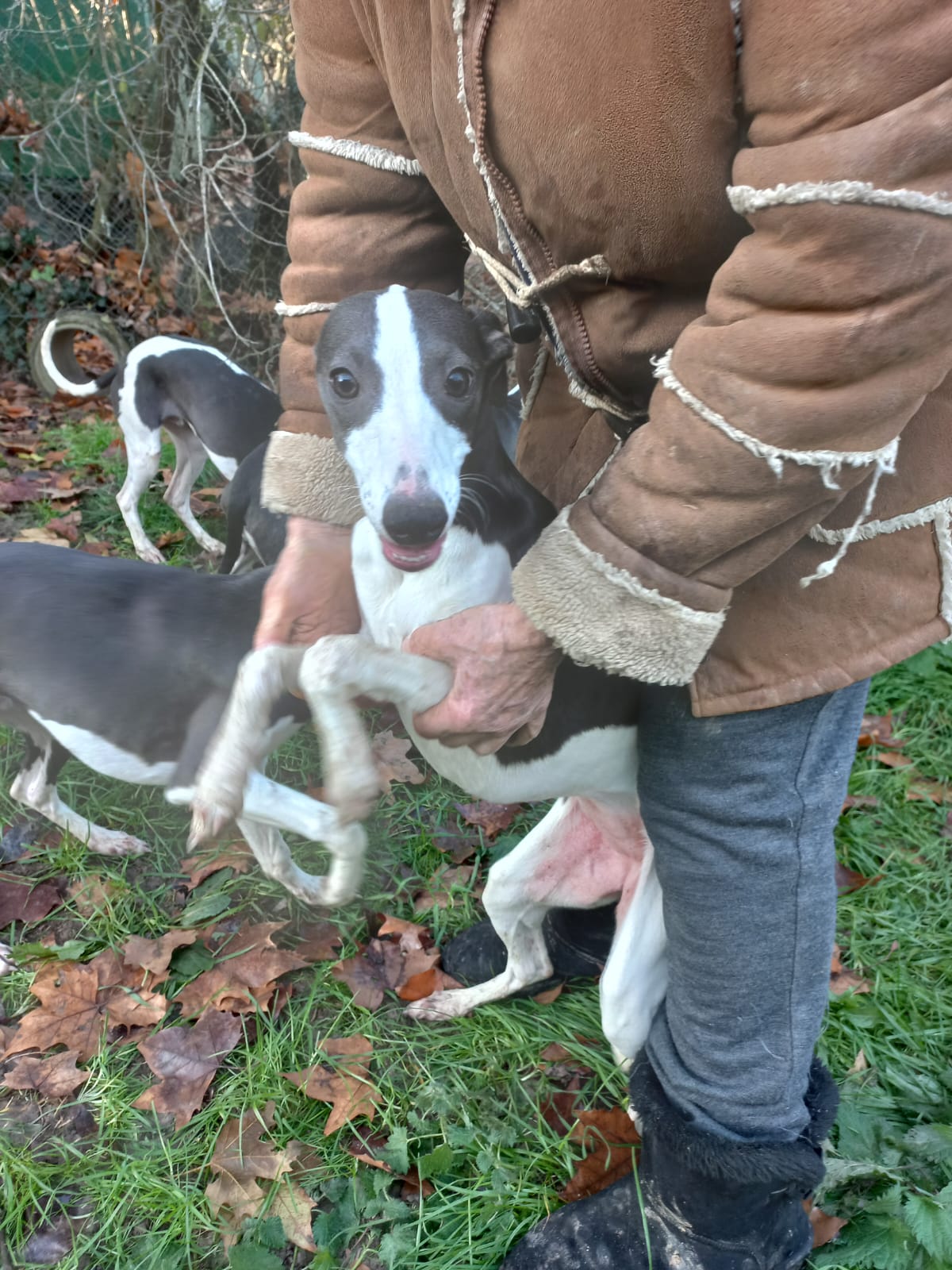 Image 2022-12-21 at 09.57.19 (1)