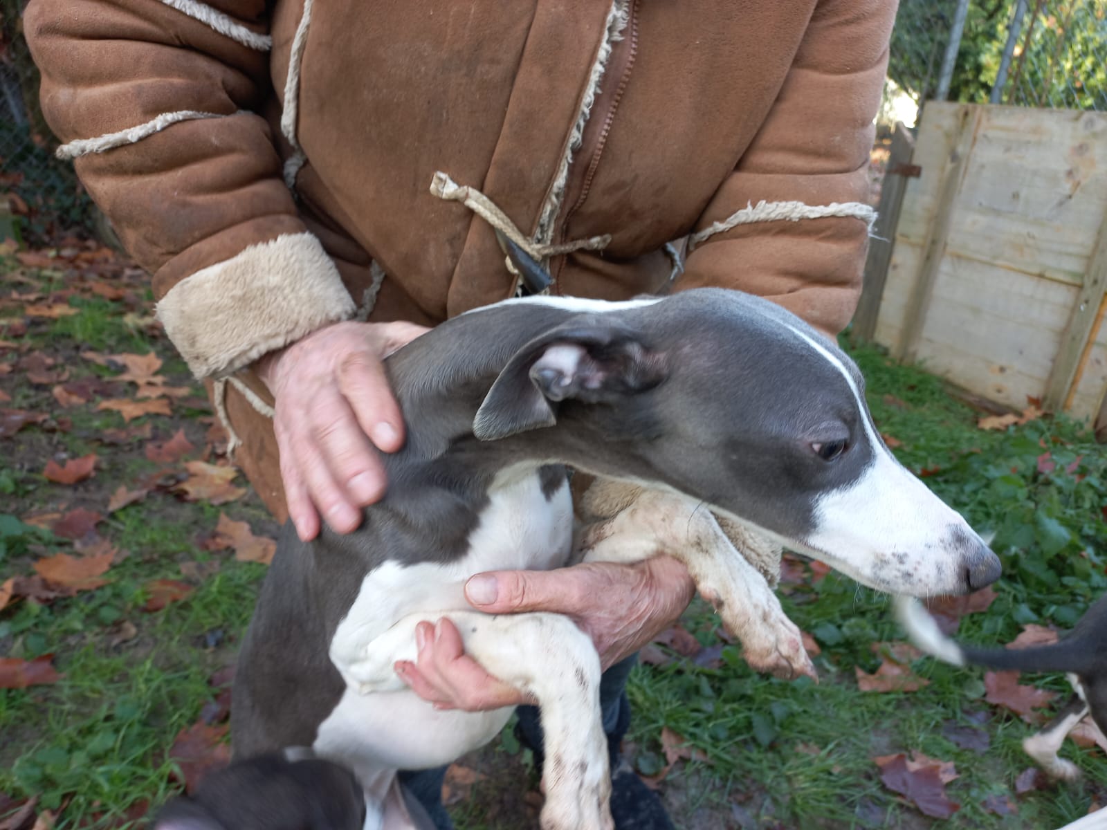 Image 2022-12-21 at 09.57.19 (2)