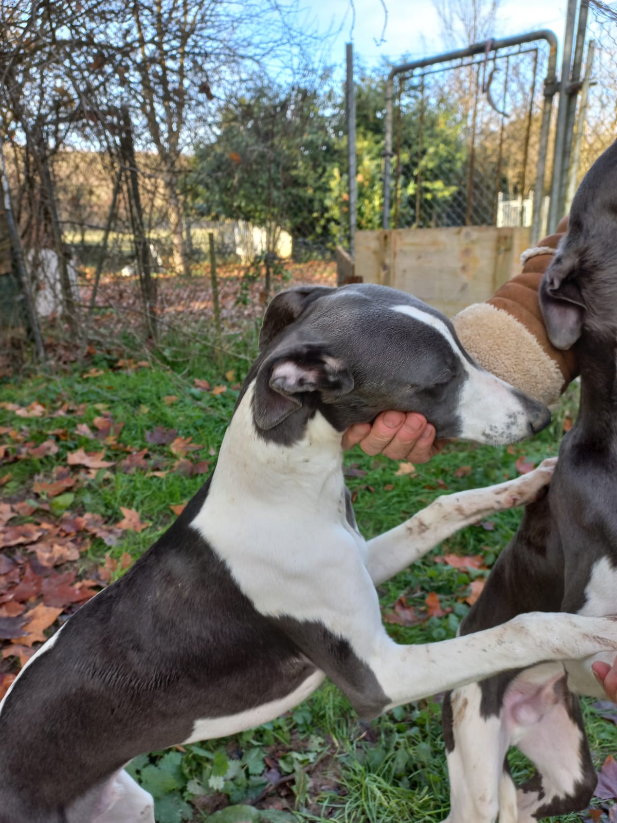 Image 2022-12-21 at 09.57.19