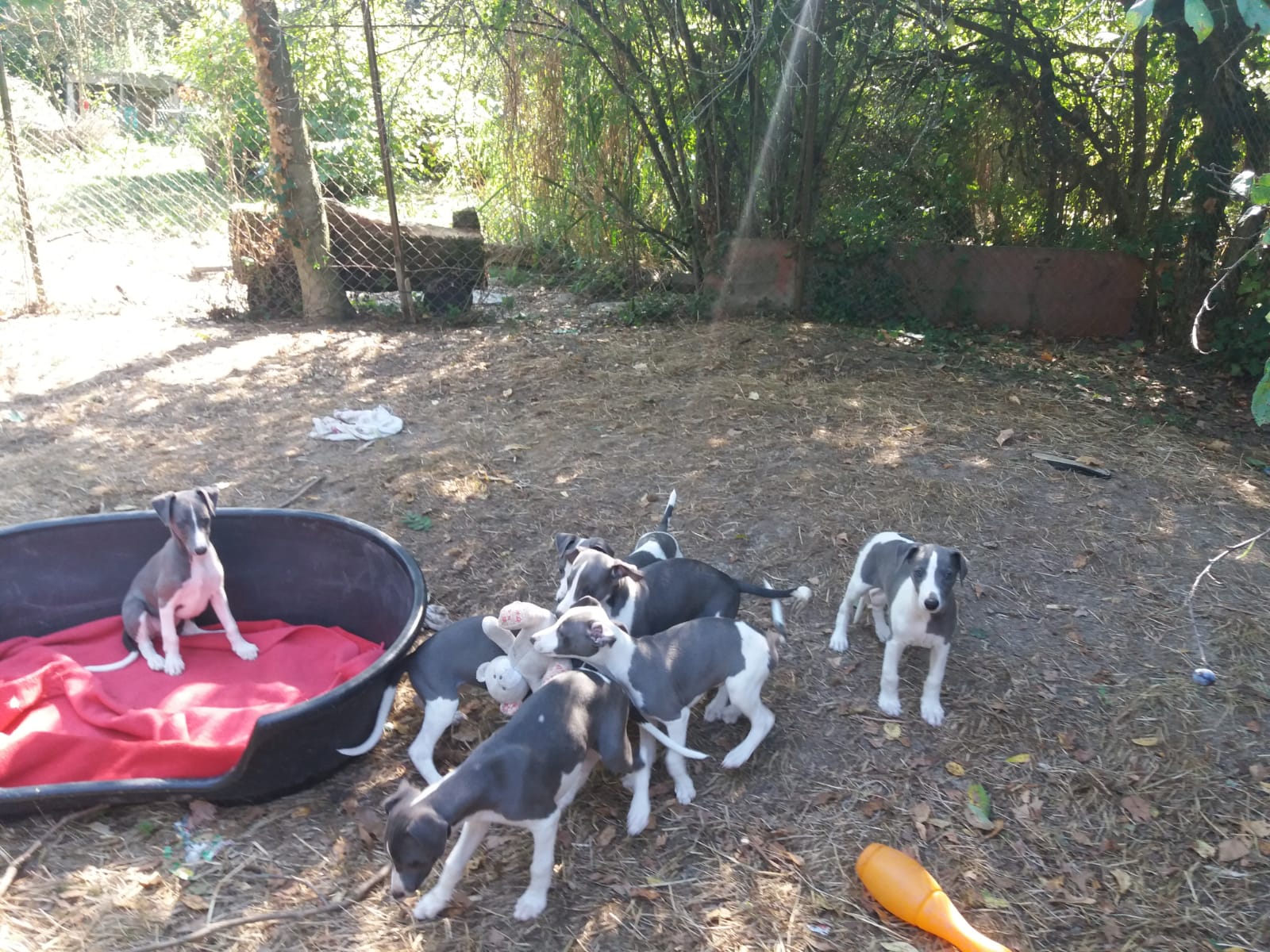 Image-2022-09-05-at-20.26.02-3