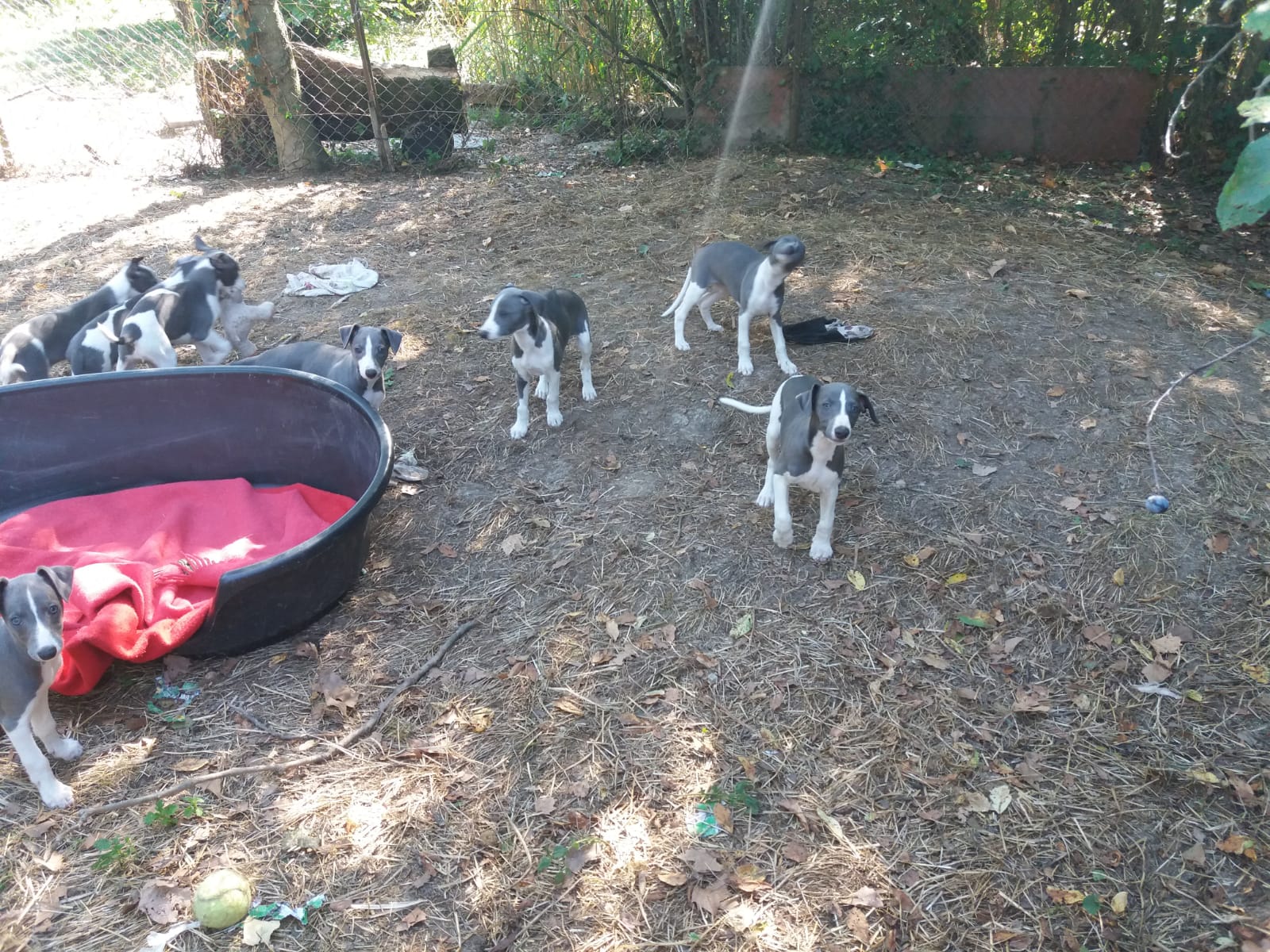 Image-2022-09-06-at-09.14.57-2